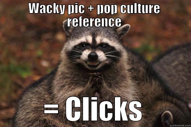 WACKY PIC + POP CULTURE REFERENCE = CLICKS Evil Plotting Raccoon