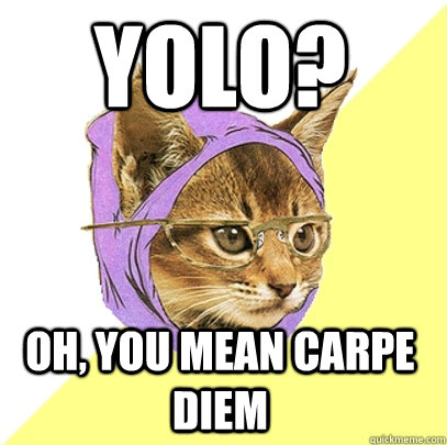 yolo? oh, you mean carpe diem - yolo? oh, you mean carpe diem  Hipster Kitty