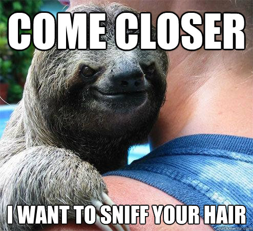 Come Closer I want to sniff your hair - Come Closer I want to sniff your hair  Suspiciously Evil Sloth