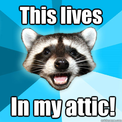 This lives  In my attic! - This lives  In my attic!  Lame Pun Coon