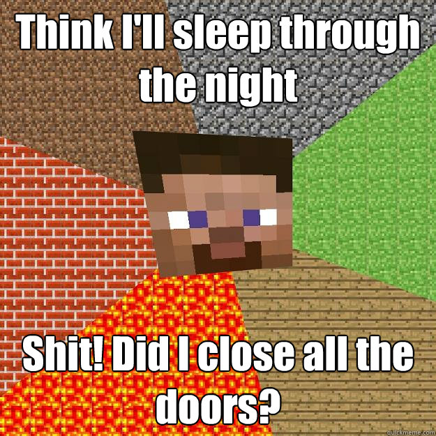 Think I'll sleep through the night Shit! Did I close all the doors?  Minecraft