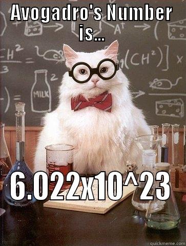 AVOGADRO'S NUMBER IS... 6.022X10^23 Chemistry Cat