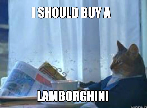 I Should buy a lamborghini  I should buy a boat cat