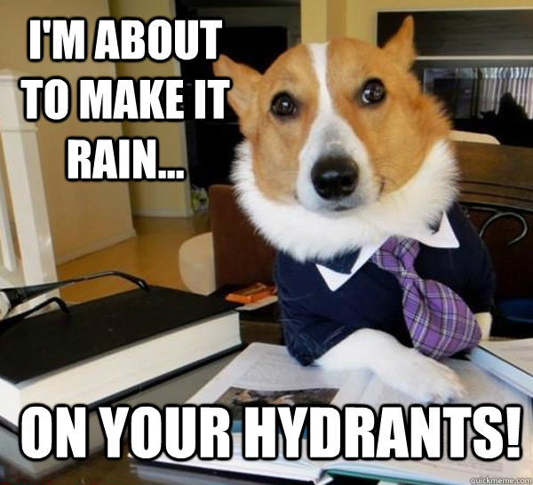 I'm about to make it rain... on your hydrants!  Lawyer Dog