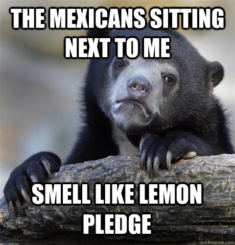 The mexicans sitting next to me smell like lemon pledge  Confession Bear