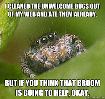 I cleaned the unwelcome bugs out of my web and ate them already. But if you think that broom is going to help, okay. - I cleaned the unwelcome bugs out of my web and ate them already. But if you think that broom is going to help, okay.  Misunderstood Spider