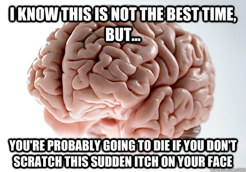 i know this is not the best time, but... you're probably going to die if you don't scratch this sudden itch on your face  Scumbag Brain