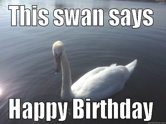 swan says  - THIS SWAN SAYS HAPPY BIRTHDAY Misc