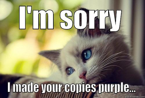 I'M SORRY I MADE YOUR COPIES PURPLE... First World Problems Cat