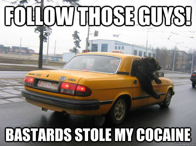 Follow those guys! bastards stole my cocaine - Follow those guys! bastards stole my cocaine  cokeless bear