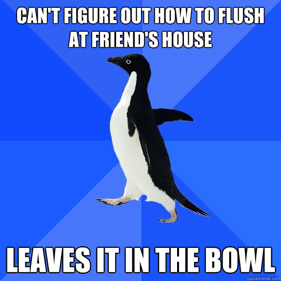 Can't Figure out how to flush at friend's house leaves it in the bowl  Socially Awkward Penguin