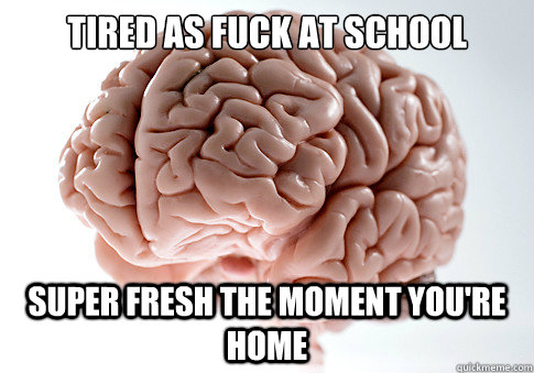 tired as fuck at school super fresh the moment you're home - tired as fuck at school super fresh the moment you're home  Scumbag Brain