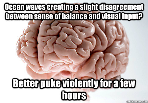 Ocean waves creating a slight disagreement between sense of balance and visual input? Better puke violently for a few hours  Scumbag Brain