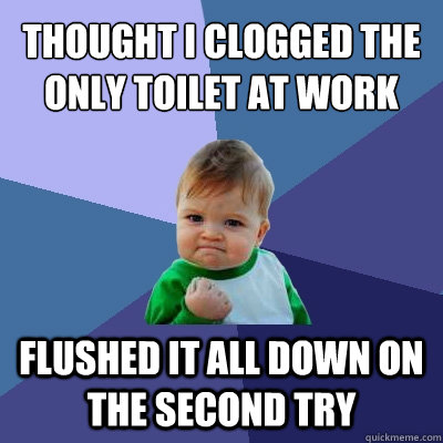 Thought I clogged the only toilet at work Flushed it all down on the second try  Success Kid