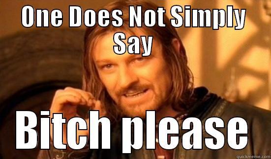 NOt simply - ONE DOES NOT SIMPLY SAY BITCH PLEASE Boromir