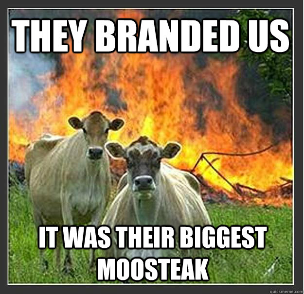 They branded us it was their biggest moosteak  Evil cows