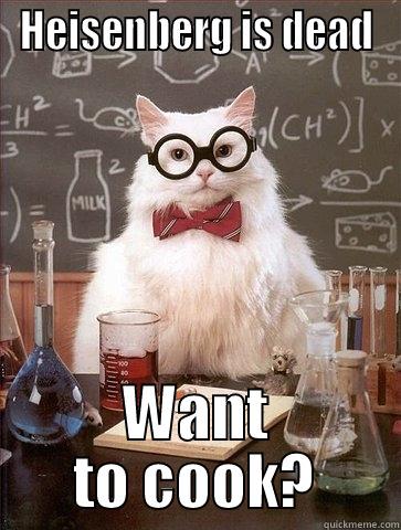 Breaking Bad Kitty - HEISENBERG IS DEAD WANT TO COOK? Chemistry Cat