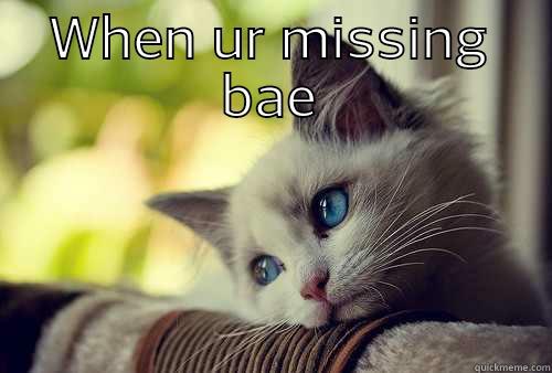 bae bae - WHEN UR MISSING BAE  First World Problems Cat