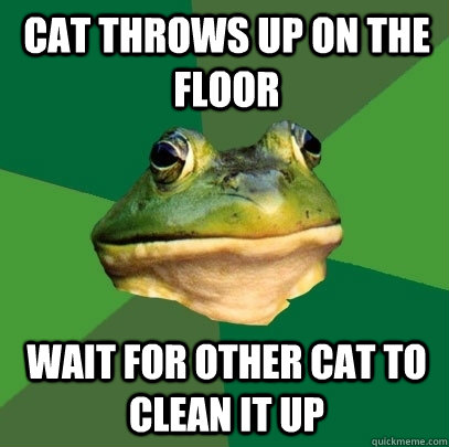 Cat Throws up on the floor Wait for other cat to Clean it up - Cat Throws up on the floor Wait for other cat to Clean it up  Foul Bachelor Frog