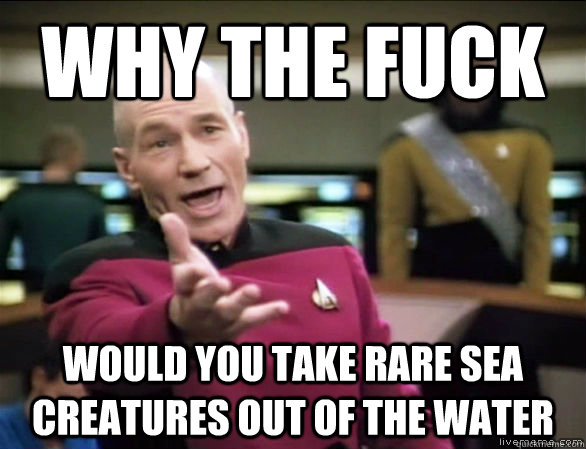 why the fuck would you take rare sea creatures out of the water  Annoyed Picard HD