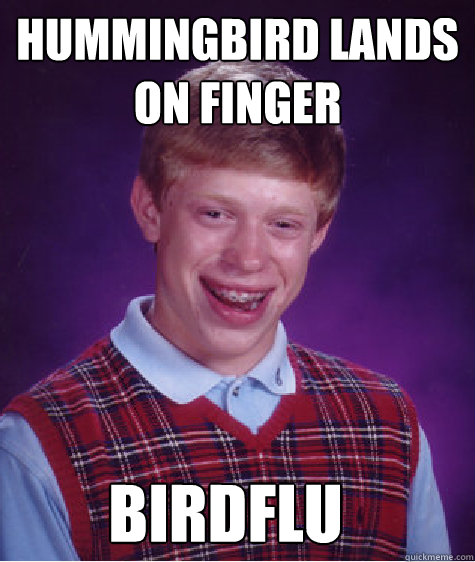 Hummingbird lands on finger birdflu  Bad Luck Brian