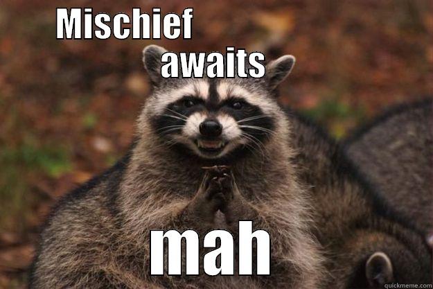 MISCHIEF                           AWAITS MAH Evil Plotting Raccoon