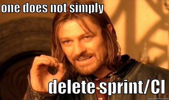 ONE DOES NOT SIMPLY                                              DELETE SPRINT/CI Boromir