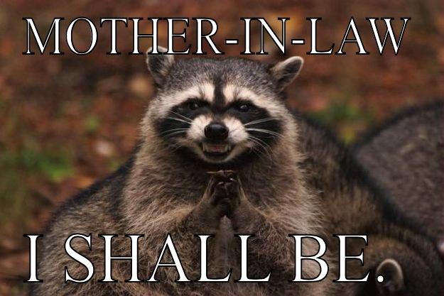 Mother in law  - MOTHER-IN-LAW I SHALL BE.  Evil Plotting Raccoon