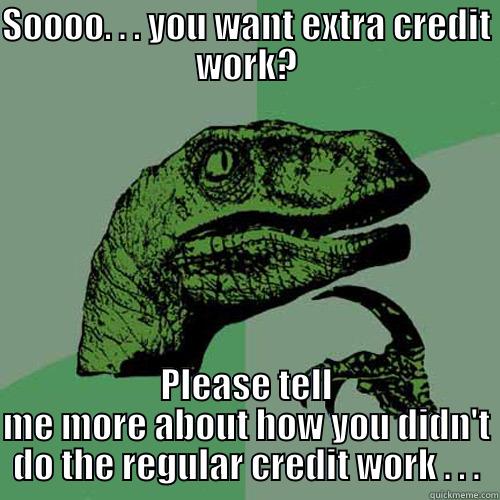 SOOOO. . . YOU WANT EXTRA CREDIT WORK? PLEASE TELL ME MORE ABOUT HOW YOU DIDN'T DO THE REGULAR CREDIT WORK . . . Philosoraptor