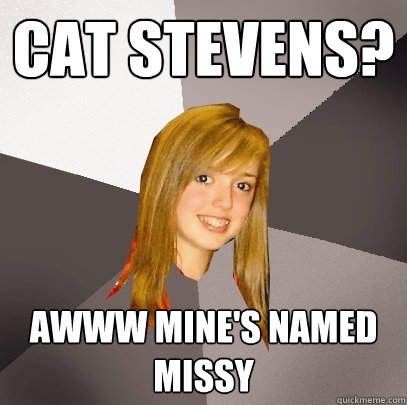 Cat Stevens? Awww mine's named missy  Musically Oblivious 8th Grader