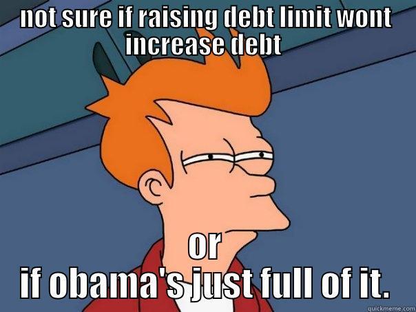 debt fry - NOT SURE IF RAISING DEBT LIMIT WONT INCREASE DEBT  OR IF OBAMA'S JUST FULL OF IT. Futurama Fry