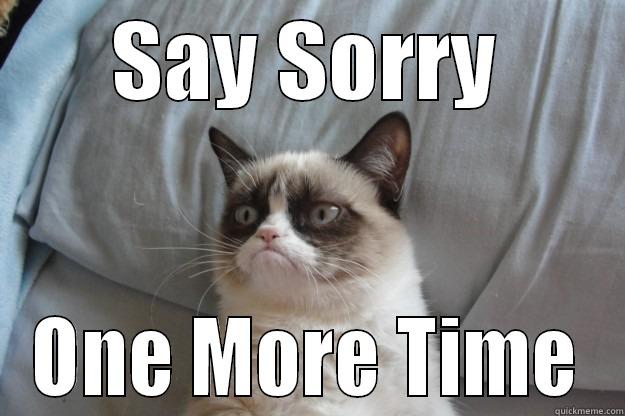 Say Sorry  - SAY SORRY ONE MORE TIME Grumpy Cat