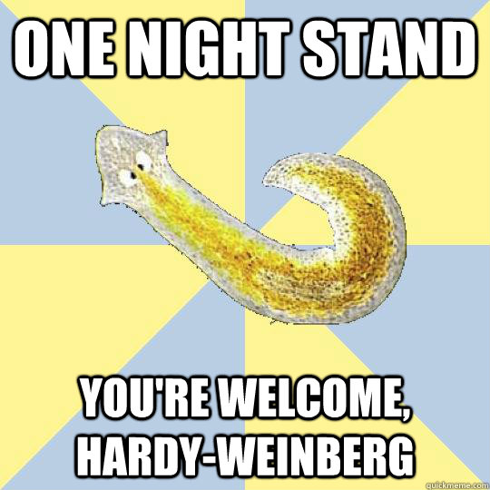 One Night Stand You're welcome, Hardy-Weinberg  Bio Major Planarian