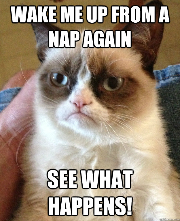 Wake me up from a nap again see what happens!  Grumpy Cat