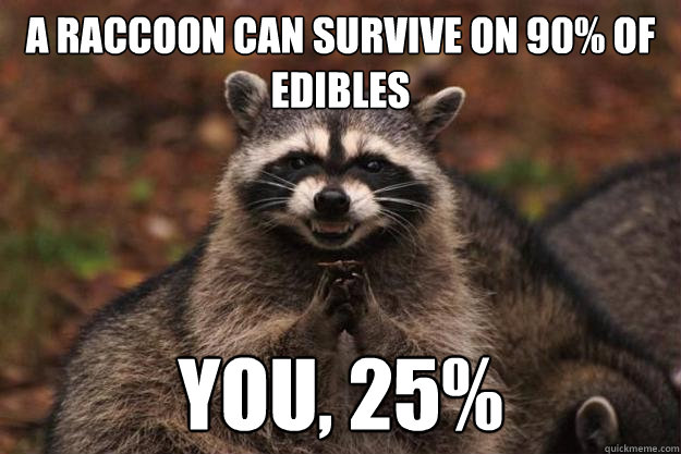 a raccoon can survive on 90% of edibles you, 25% - a raccoon can survive on 90% of edibles you, 25%  Evil Plotting Raccoon