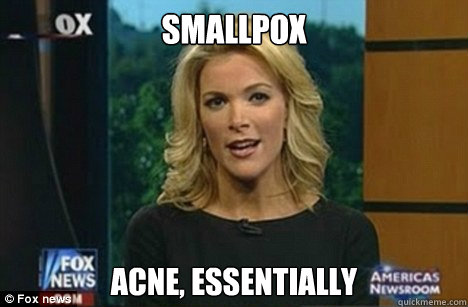 Smallpox acne, essentially  Megyn Kelly