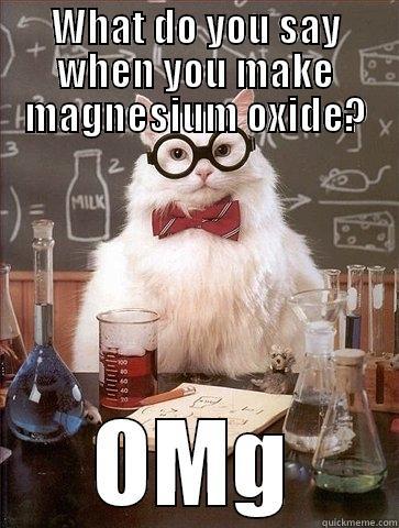 WHAT DO YOU SAY WHEN YOU MAKE MAGNESIUM OXIDE? OMG Chemistry Cat