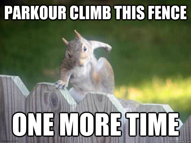 parkour climb this fence one more time  Parkour Squirrel