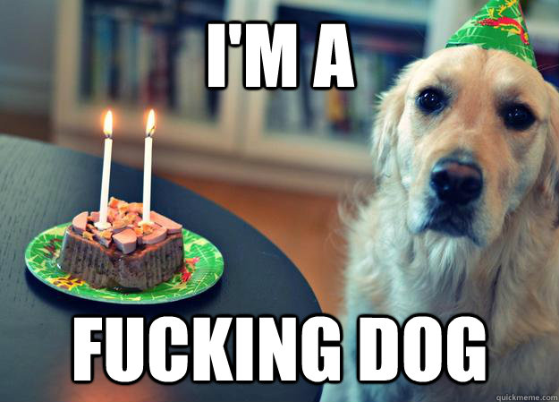 i'm a fucking dog  Sad Birthday Dog