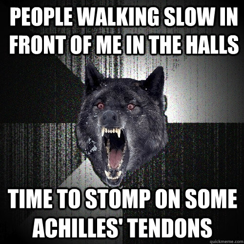 people walking slow in front of me in the halls Time to stomp on some Achilles' tendons  Insanity Wolf