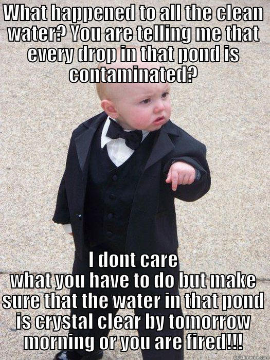 Where's My Clean Water - WHAT HAPPENED TO ALL THE CLEAN WATER? YOU ARE TELLING ME THAT EVERY DROP IN THAT POND IS CONTAMINATED? I DONT CARE WHAT YOU HAVE TO DO BUT MAKE SURE THAT THE WATER IN THAT POND IS CRYSTAL CLEAR BY TOMORROW MORNING OR YOU ARE FIRED!!! Baby Godfather