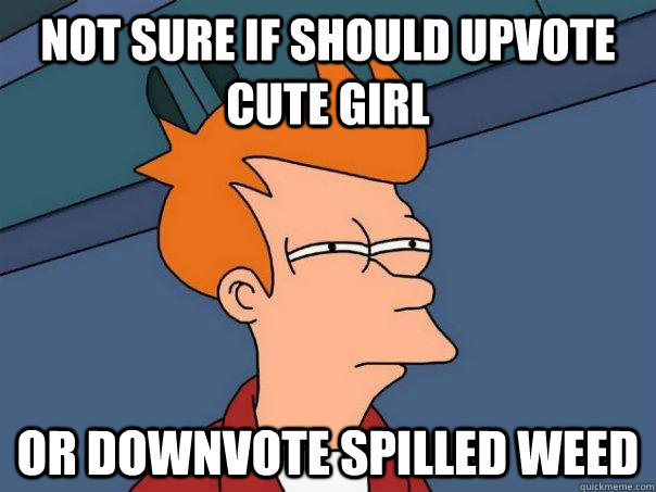 Not sure if should upvote cute girl Or downvote spilled weed  Futurama Fry