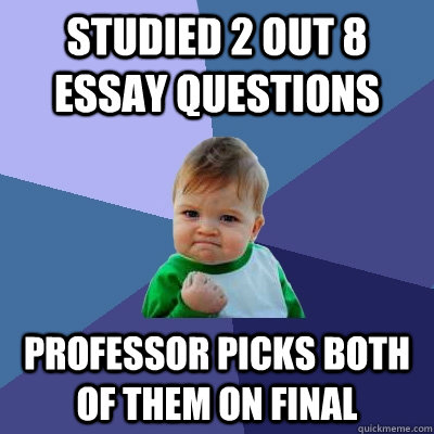 Studied 2 out 8 essay questions professor picks both of them on final  Success Kid