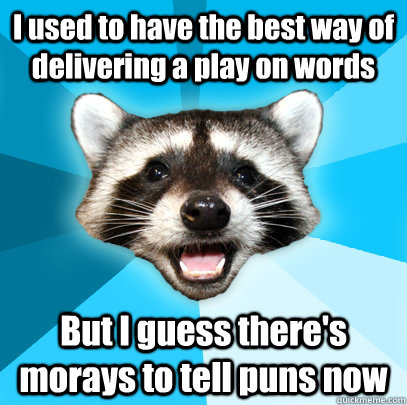 I used to have the best way of delivering a play on words But I guess there's morays to tell puns now  Lame Pun Coon