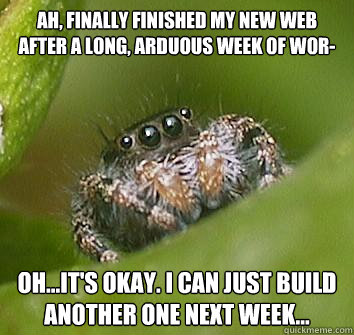 Ah, finally finished my new web after a long, arduous week of wor- Oh...it's okay. I can just build another one next week...  Misunderstood Spider