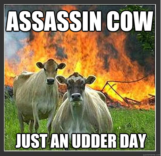 assassin cow just an udder day  Evil cows