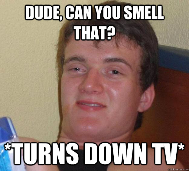 Dude, can you smell that? *Turns down TV*  10 Guy