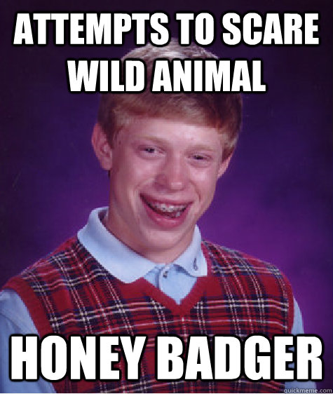 attempts to scare wild animal honey badger  Bad Luck Brian