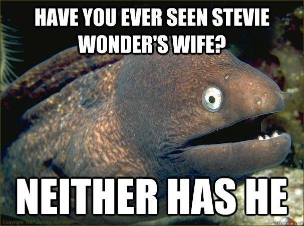 have you ever seen stevie wonder's wife? neither has he - have you ever seen stevie wonder's wife? neither has he  Bad Joke Eel