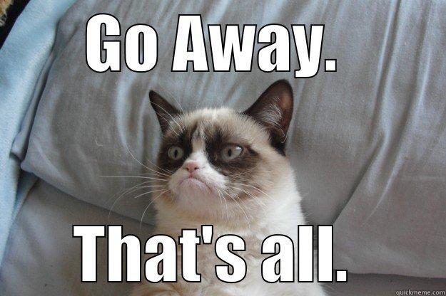 grumpy cat - GO AWAY.  THAT'S ALL.  Grumpy Cat